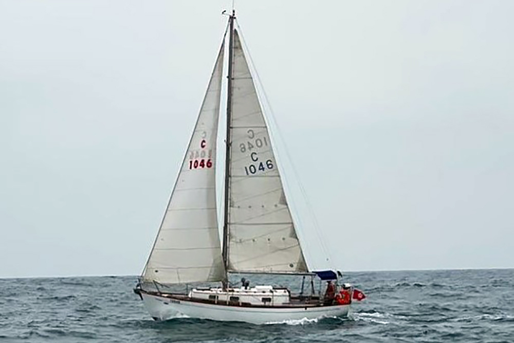 catamarans for sale in hong kong